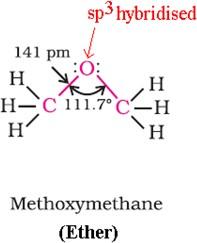 NCERT Solution / Notes Class 12 Chemistry Chapter 11 Alcohols Phenols and Ethers – Class 12 Chemistry Chapter 11