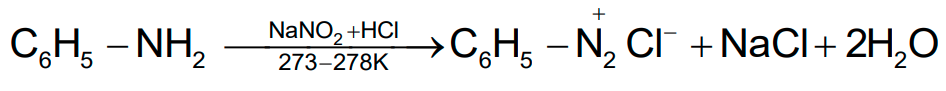 NCERT Solution / Notes Class 12 Chemistry Chapter 13 Amines – Class 12 Chemistry Chapter 13