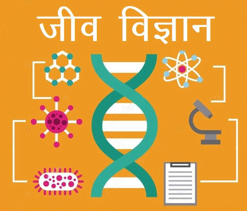 NCERT Solution Class 8 Science Chapter 2 in Hindi सूक्ष्मजीव: मित्र एवं शत्रु – 8 Science Chapter 2 in Hindi