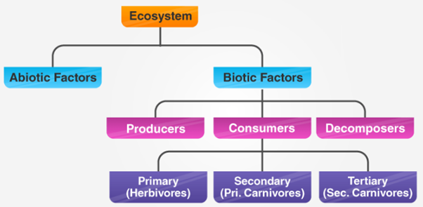 NCERT Solution Class 12 Biology Chapter 14 Ecosystem – Class 12 Biology Chapter 14