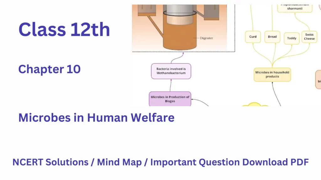 NCERT Solution Class 12 Biology Chapter 10 Microbes in Human Welfare with mind map