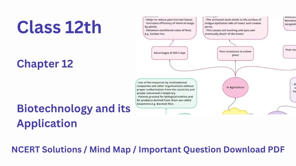 Class 12 Biology Chapter 12 Biotechnology and its Application with mind Map PDF Download