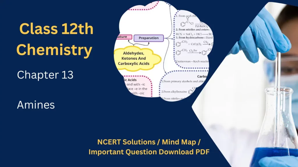 NCERT Solution / Notes Class 12 Chemistry Chapter 13 Amines