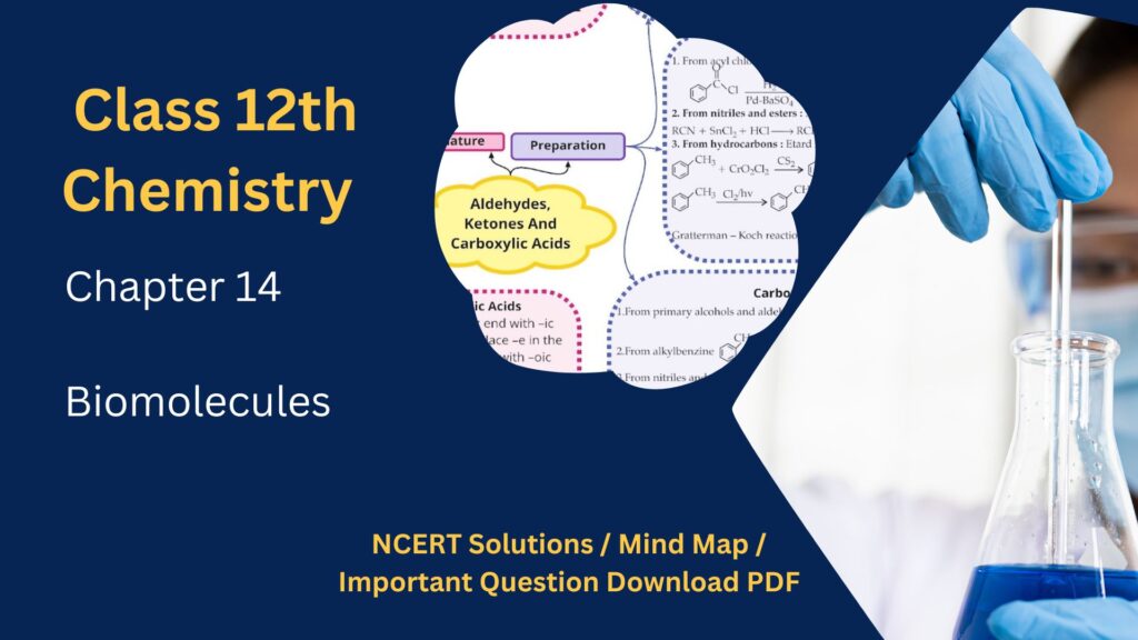 NCERT Solution / Notes Class 12 Chemistry Chapter 14 Biomolecules