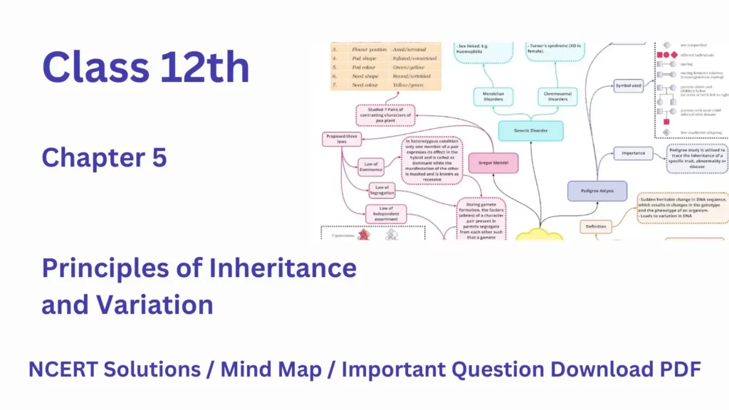 NCERT Solution Class 12 Biology Chapter 5 Principles of Inheritance and Variation with mind map
