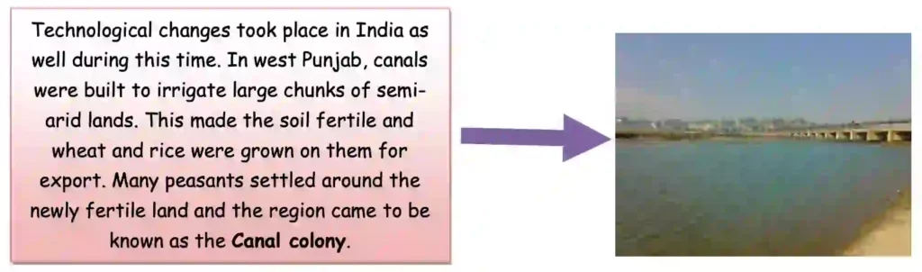 NCERT Solutions / Notes Class 10 Social Studies History Chapter 3 The Making of a Global World