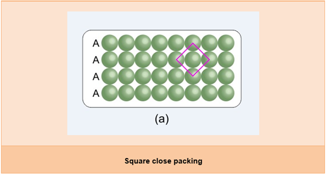 NCERT Solution Class 12 Chemistry Chapter 1 The Solid State – Class 12 Chemistry Chapter 1