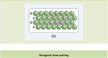 NCERT Solution Class 12 Chemistry Chapter 1 The Solid State – Class 12 Chemistry Chapter 1