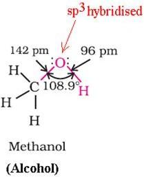 NCERT Solution / Notes Class 12 Chemistry Chapter 11 Alcohols Phenols and Ethers – Class 12 Chemistry Chapter 11