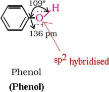 NCERT Solution / Notes Class 12 Chemistry Chapter 11 Alcohols Phenols and Ethers – Class 12 Chemistry Chapter 11