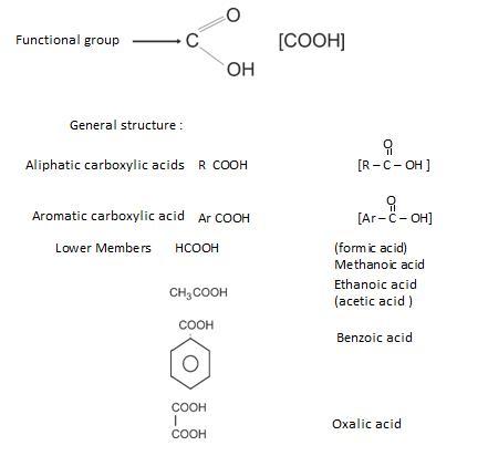 NCERT Solution / Notes Class 12 Chemistry Chapter 12 Aldehydes Ketones and Carboxylic Acids – Class 12 Chemistry Chapter 12