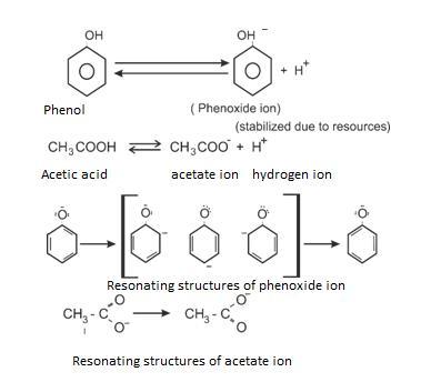 NCERT Solution / Notes Class 12 Chemistry Chapter 12 Aldehydes Ketones and Carboxylic Acids – Class 12 Chemistry Chapter 12