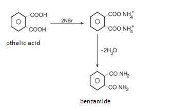 NCERT Solution / Notes Class 12 Chemistry Chapter 12 Aldehydes Ketones and Carboxylic Acids – Class 12 Chemistry Chapter 12