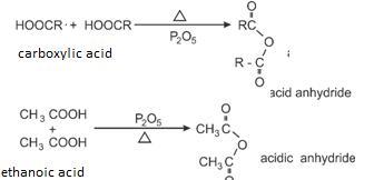 NCERT Solution / Notes Class 12 Chemistry Chapter 12 Aldehydes Ketones and Carboxylic Acids – Class 12 Chemistry Chapter 12