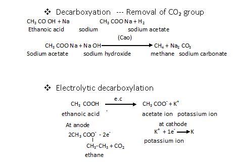 NCERT Solution / Notes Class 12 Chemistry Chapter 12 Aldehydes Ketones and Carboxylic Acids