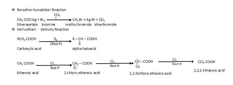 NCERT Solution / Notes Class 12 Chemistry Chapter 12 Aldehydes Ketones and Carboxylic Acids – Class 12 Chemistry Chapter 12