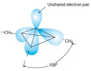 NCERT Solution / Notes Class 12 Chemistry Chapter 13 Amines – Class 12 Chemistry Chapter 13