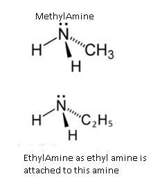 NCERT Solution / Notes Class 12 Chemistry Chapter 13 Amines – Class 12 Chemistry Chapter 13