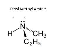 NCERT Solution / Notes Class 12 Chemistry Chapter 13 Amines – Class 12 Chemistry Chapter 13