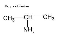 NCERT Solution / Notes Class 12 Chemistry Chapter 13 Amines – Class 12 Chemistry Chapter 13