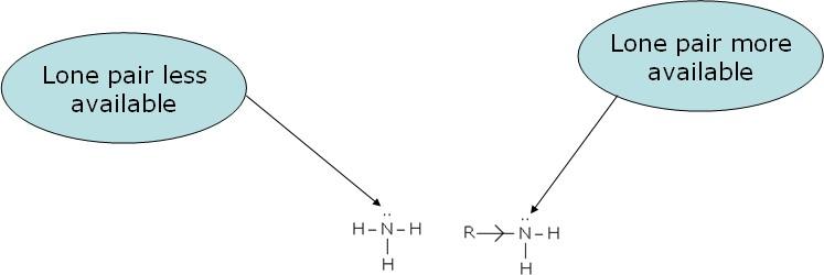 Class 12 Chemistry Chapter 13 – image 137