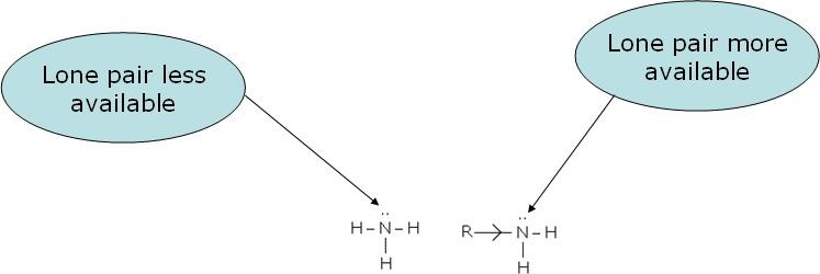 NCERT Solution / Notes Class 12 Chemistry Chapter 13 Amines – Class 12 Chemistry Chapter 13