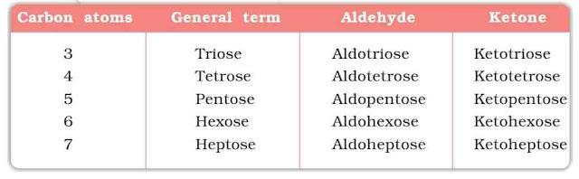 NCERT Solution / Notes Class 12 Chemistry Chapter 14 Biomolecules – Class 12 Chemistry Chapter 14