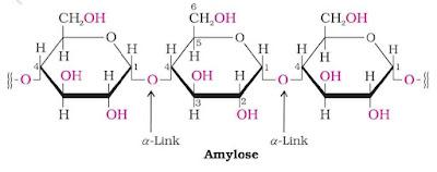 NCERT Solution / Notes Class 12 Chemistry Chapter 14 Biomolecules – Class 12 Chemistry Chapter 14