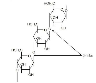 NCERT Solution / Notes Class 12 Chemistry Chapter 14 Biomolecules – Class 12 Chemistry Chapter 14