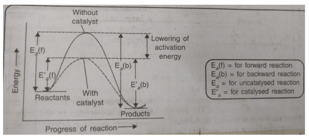 NCERT Solution / Notes Class 12 Chemistry Chapter 4 Chemical Kinetics