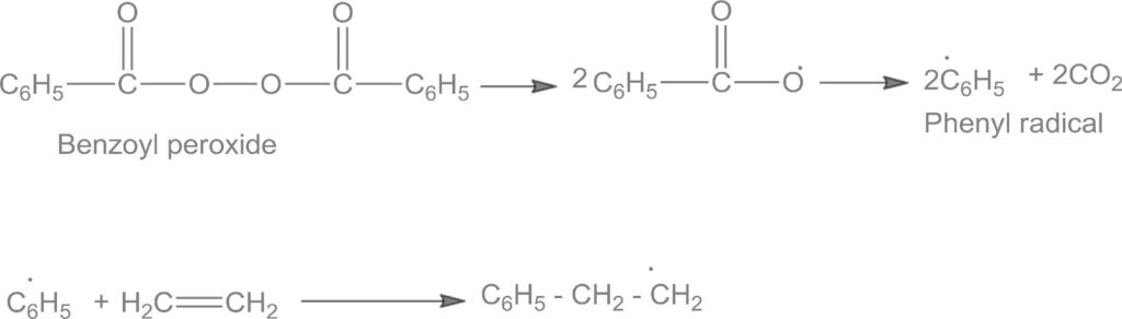 NCERT Solution / Notes Class 12 Chemistry Chapter 15 Polymers
