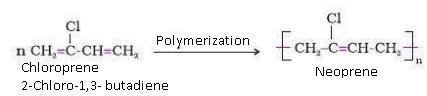 NCERT Solution / Notes Class 12 Chemistry Chapter 15 Polymers