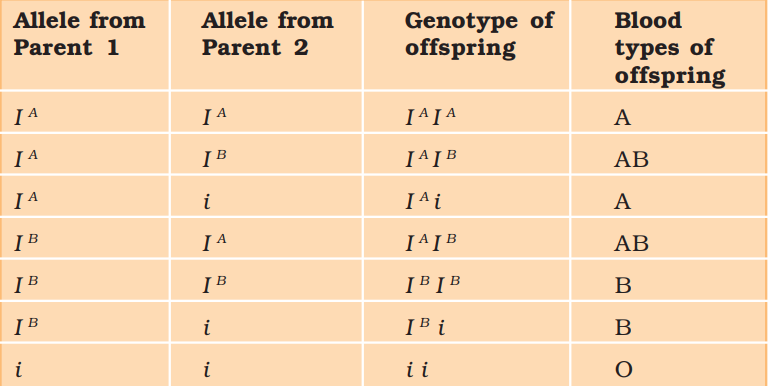 NCERT Solution Class 12 Biology Chapter 5 Principles of Inheritance and Variation
