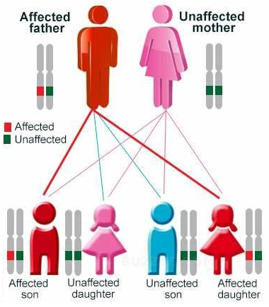 NCERT Solution Class 12 Biology Chapter 5 Principles of Inheritance and Variation – Class 12 Biology Chapter 5