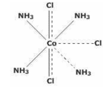Class 12 Chemistry Chapter 9 – image 262