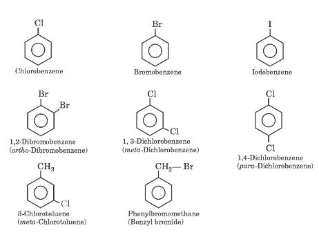 NCERT Solution / Notes Class 12 Chemistry Chapter 10 Haloalkanes and Haloarenes – Class 12 Chemistry Chapter 10