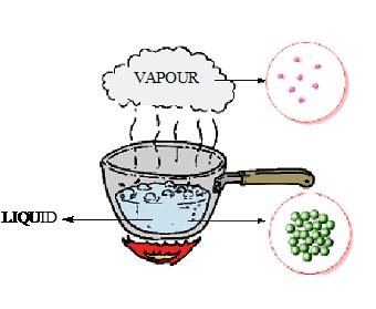 NCERT Solution Class 12 Chemistry Chapter 1 The Solid State – Class 12 Chemistry Chapter 1