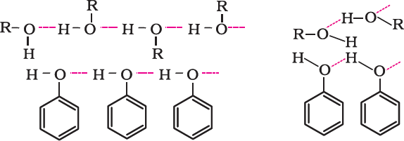 NCERT Solution / Notes Class 12 Chemistry Chapter 11 Alcohols Phenols and Ethers – Class 12 Chemistry Chapter 11