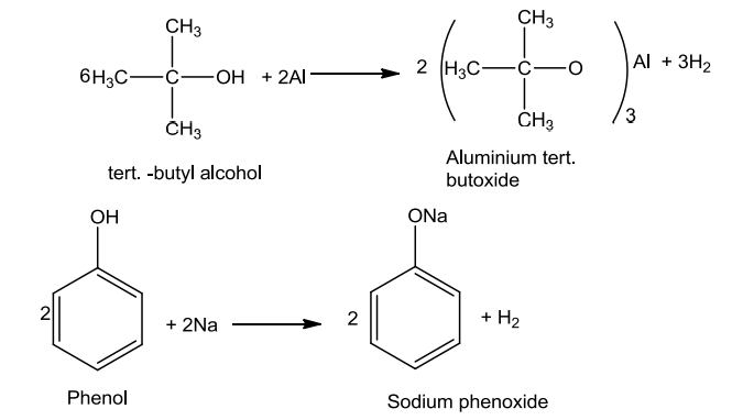 NCERT Solution / Notes Class 12 Chemistry Chapter 11 Alcohols Phenols and Ethers