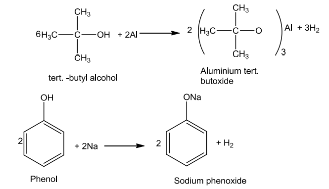 NCERT Solution / Notes Class 12 Chemistry Chapter 11 Alcohols Phenols and Ethers – Class 12 Chemistry Chapter 11