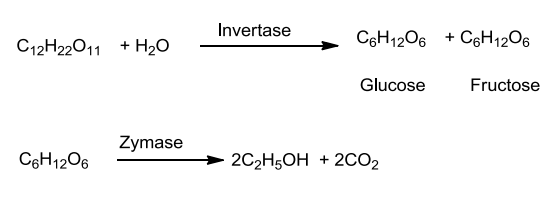 NCERT Solution / Notes Class 12 Chemistry Chapter 11 Alcohols Phenols and Ethers – Class 12 Chemistry Chapter 11