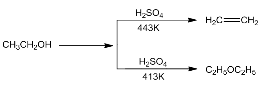 NCERT Solution / Notes Class 12 Chemistry Chapter 11 Alcohols Phenols and Ethers – Class 12 Chemistry Chapter 11