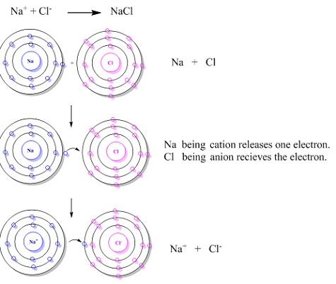 NCERT Solution Class 12 Chemistry Chapter 1 The Solid State – Class 12 Chemistry Chapter 1