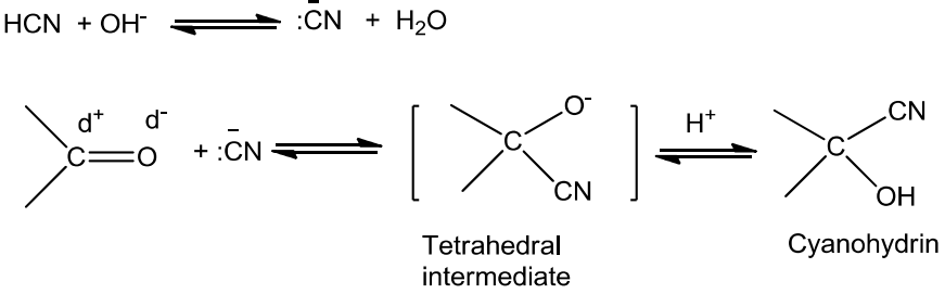 NCERT Solution / Notes Class 12 Chemistry Chapter 12 Aldehydes Ketones and Carboxylic Acids – Class 12 Chemistry Chapter 12