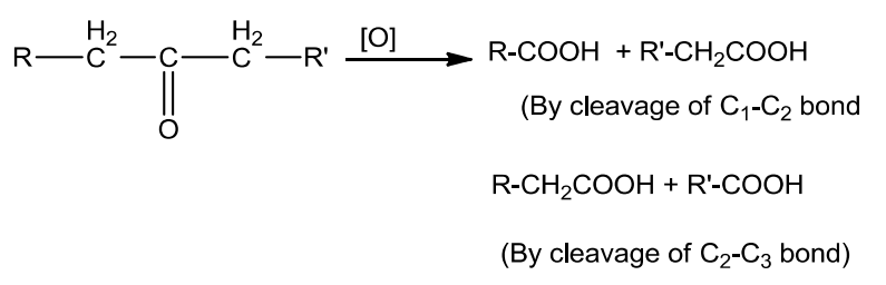 NCERT Solution / Notes Class 12 Chemistry Chapter 12 Aldehydes Ketones and Carboxylic Acids – Class 12 Chemistry Chapter 12