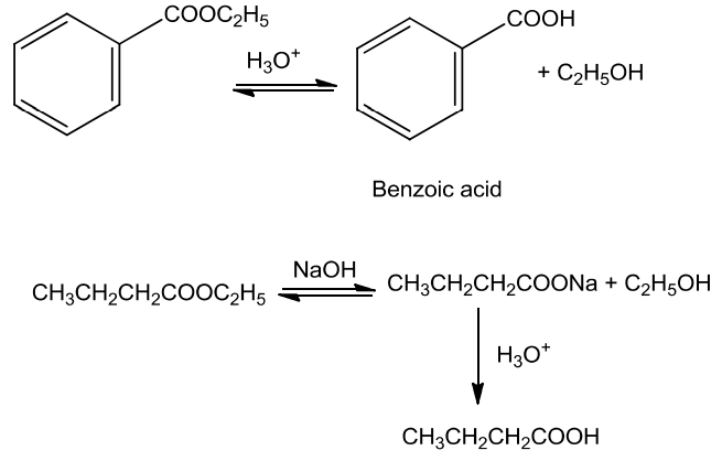 NCERT Solution / Notes Class 12 Chemistry Chapter 12 Aldehydes Ketones and Carboxylic Acids – Class 12 Chemistry Chapter 12