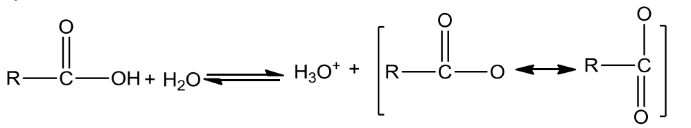 NCERT Solution / Notes Class 12 Chemistry Chapter 12 Aldehydes Ketones and Carboxylic Acids – Class 12 Chemistry Chapter 12