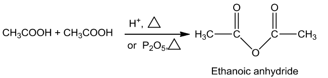 NCERT Solution / Notes Class 12 Chemistry Chapter 12 Aldehydes Ketones and Carboxylic Acids – Class 12 Chemistry Chapter 12