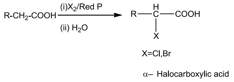 NCERT Solution / Notes Class 12 Chemistry Chapter 12 Aldehydes Ketones and Carboxylic Acids – Class 12 Chemistry Chapter 12