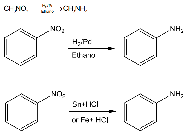 NCERT Solution / Notes Class 12 Chemistry Chapter 13 Amines – Class 12 Chemistry Chapter 13